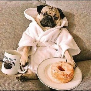 Meet your Posher, Maria